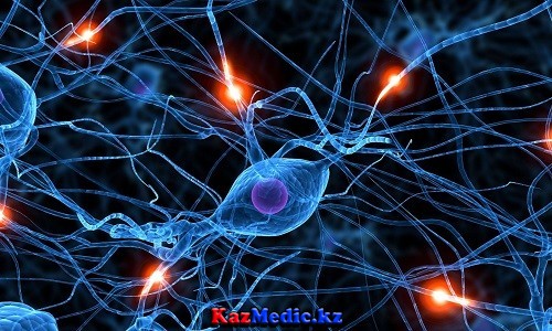 шеткі нерв жүйесінің зақымдалуы