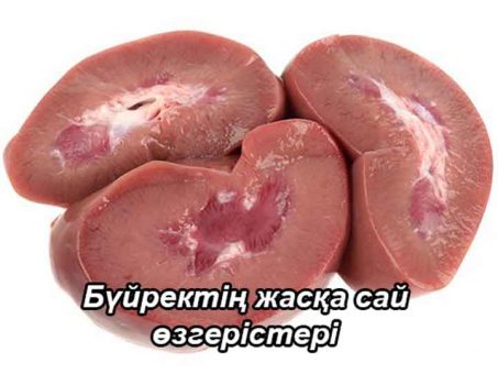 Бүйректің жасқа байланысты өзгерістері