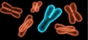 Хромосомның ххy синдромы