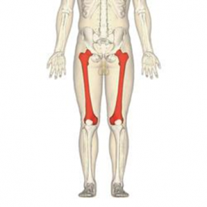 Үлкен ұршық сынығы. Кіші ұршық сынығы