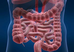 Экссудативті энтеропатия