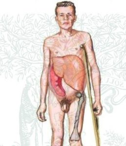 Гликолипидоздар